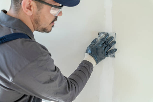 Best Water-Damaged Drywall Repair  in Desnso, CA